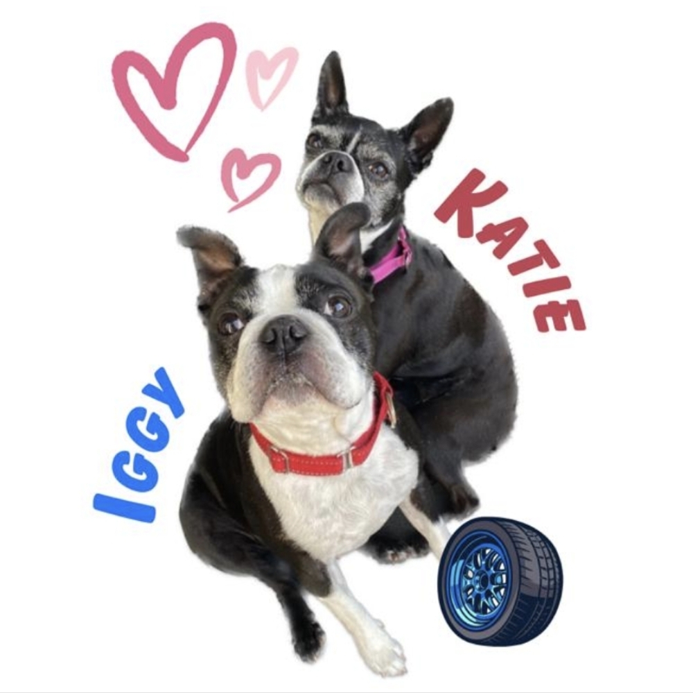 🐾🐾 Thank-Q For Shopping Small Bizniz!!! 🐾